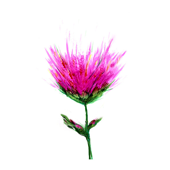 Botanical-3 Flower Art